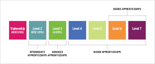 Flowchart showing the different type of apprenticeships from intermediate apprenticeships to degree apprenticeships.