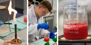 Collage picture of our students in the lab.