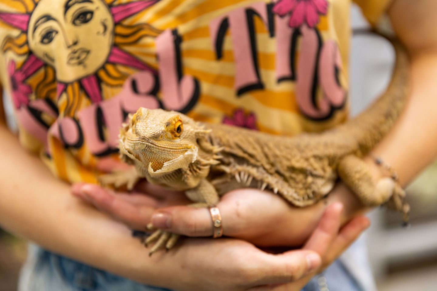 Student holding a bearded dragon