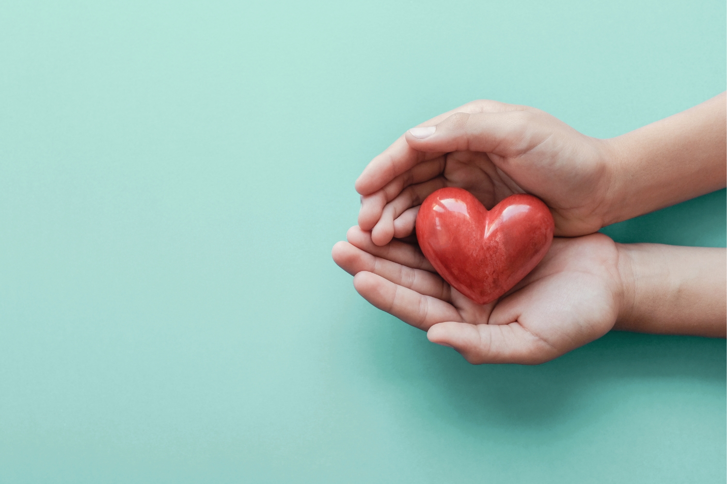 Hands holding a heart shaped object