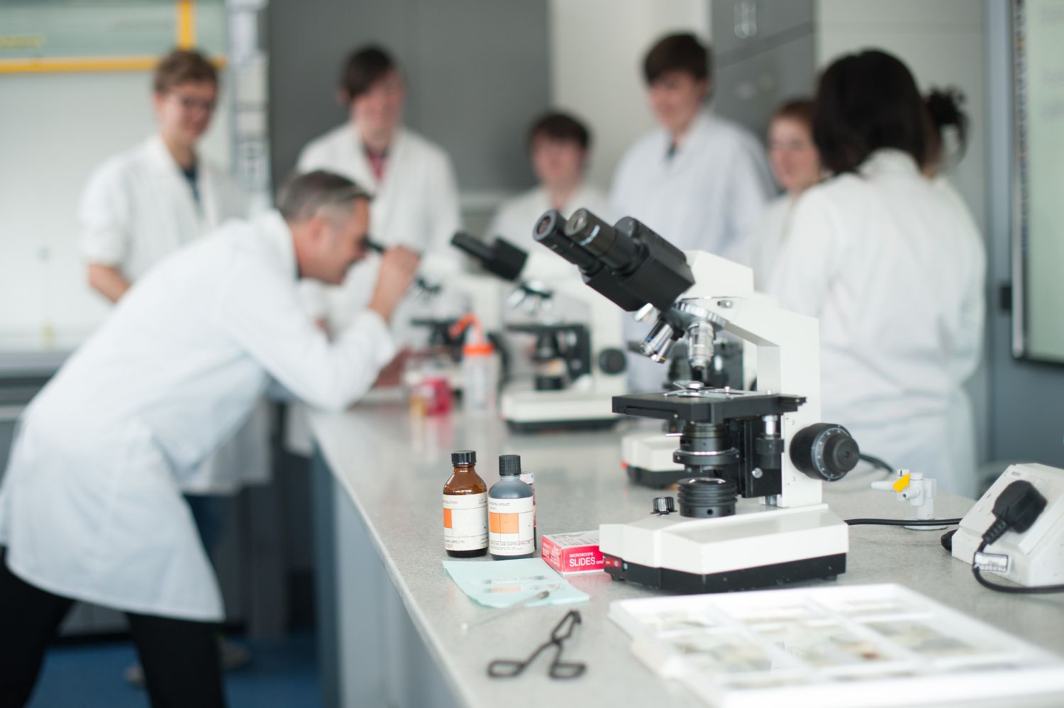 Students in a science lab